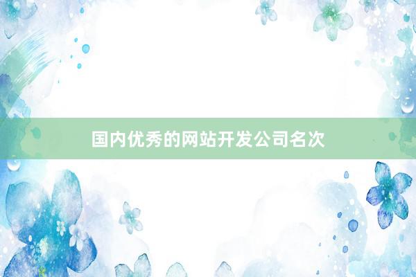 国内优秀的网站开发公司名次