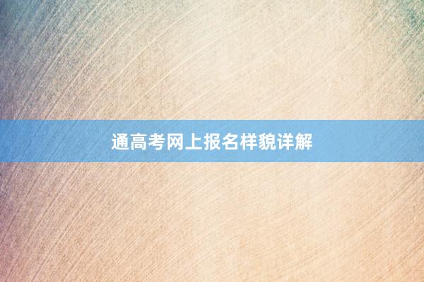 通高考网上报名样貌详解