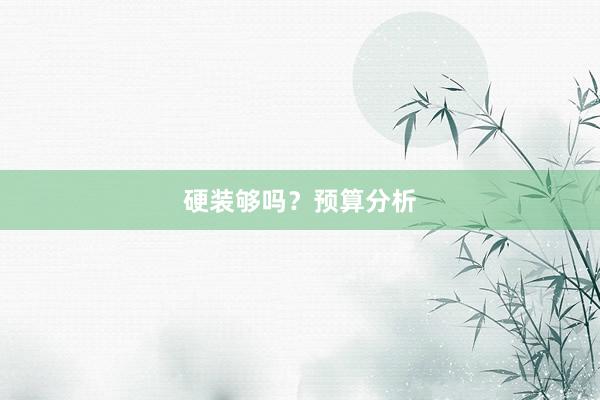 硬装够吗？预算分析