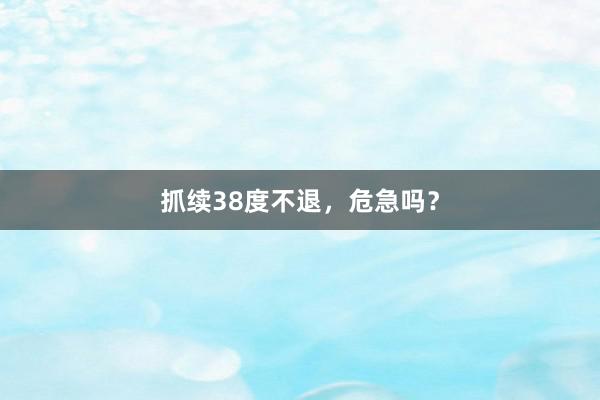 抓续38度不退，危急吗？