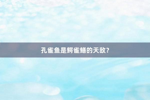 孔雀鱼是鳄雀鳝的天敌？