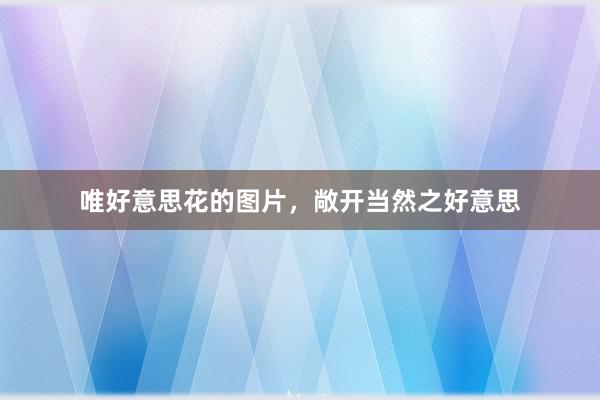 唯好意思花的图片，敞开当然之好意思